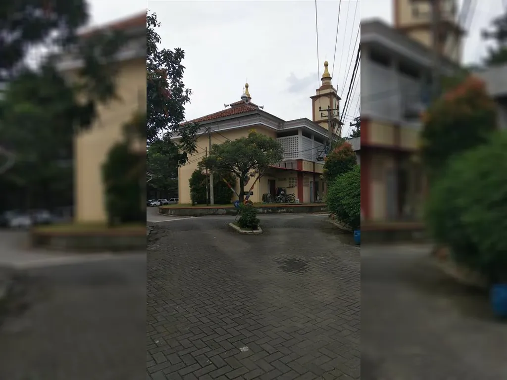 WhatsApp Image 2023-02-03 at 16.03.51.jpeg